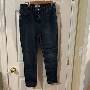 Free People Deep Indigo Skinny Jeans